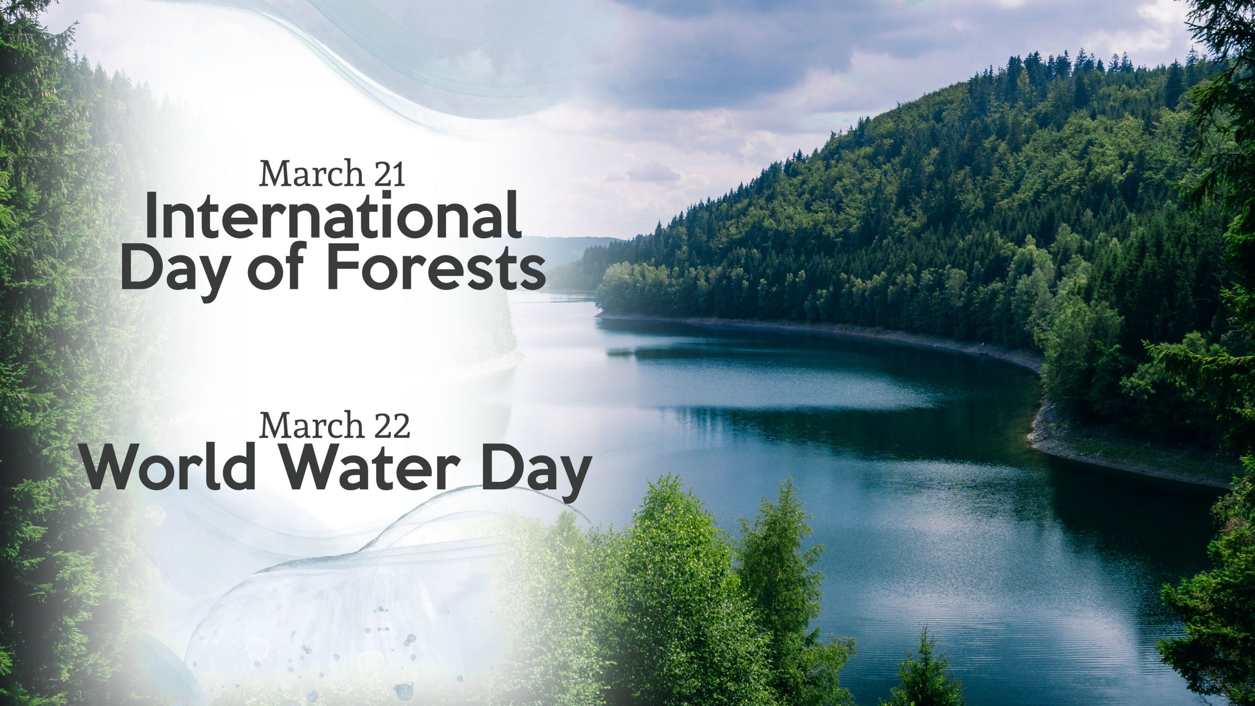 International Day of Forests and World Water Day – EKODENGE
